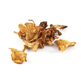 Mushrooms & Truffles