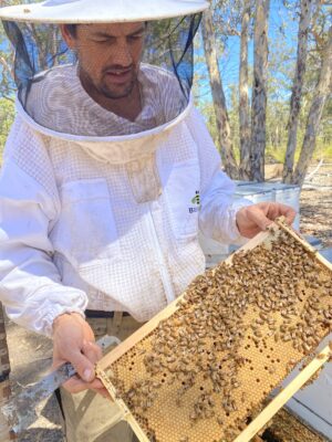 Bee keeping Elixir