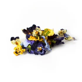 Petite Ingredient Viola 25g